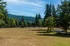 Grounds