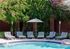 1810 The Social, exterior, sparkling blue pool, blue and white lounge chairs, umbrella, foliage and pink flowers, brick wall