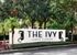 1800 The Ivy, exterior, property sign, Tampa Florida, trees, palm trees, landscaping, driveway