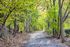 Walking trail on community