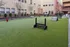 Fenced Dog Park