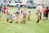 Children in potato sacks racing while others watch.| North Haven Communties
