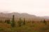 An open field below misted mountains.| Fort Wainwright On Post Housing
