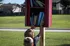 Free Little Library