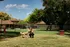 Pet-Friendly Communities