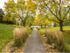 Green Space