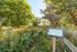 Butterfly Sanctuary