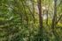 Butterfly Sanctuary