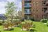 Community Garden