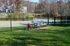 Dog Park
