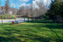 Dog Park
