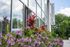 Modern apartment exterior at Park Lafayette Towers showcasing vibrant landscaped flowers and sleek glass facade.