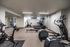 Modern fitness center featuring state-of-the-art exercise equipment, including treadmills, elliptical machines, and stationary bikes in a spacious, well-lit room.