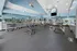 Spacious and modern apartment gym featuring state-of-the-art fitness equipment, natural lighting, and a sleek mirrored wall.