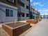 Apartments for Rent in Glendale, AZ - Acero at the Stadium - Community Garden with Four Wooden Gardening Spots