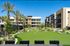 West Phoenix, AZ, Pet-Friendly Apartments - Acero Roosevelt - A Community Courtyard with Palm Trees, Walking Paths, Lounge Seating, and Modern Residential Buildings.