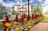 Vibrant garden blooms with bright red and yellow flowers under a sunny sky, featuring shaded seating and modern architectural backdrop.