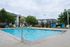 Inviting outdoor swimming pool with vibrant lounge chairs and surrounding garden views, perfect for relaxation and leisure.
