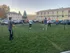 Volleyball Grass
