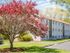 Tree in front of Princeton Reserve | apartments for Rent in Dracut, MA