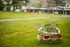 Grow your own herbs and vegetables in our community garden. Get ready to let your green thumb loose and enjoy fresh produce at your fingertips.                                                                                                                                                                              | Foreside Estates |