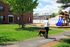 Socialize your pet in our expansive dog park with separate areas for different sized dogs. Get to know other pet owners who are part of our canine community. | Princeton Place Apartments | Princeton Place Apartments