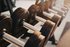 Modern gym featuring a sleek row of black dumbbells, perfect for strength training enthusiasts.