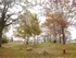 Dog Park In Traverse City | Ridge45 Apartments