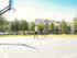 Basketball court