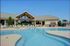 Copper Beech Greenville