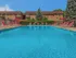 Sparkling Swimming Pool | Apartments in Mount Prospect Illinois | The Element