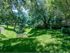 Outdoor Area