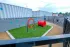 Pet park