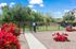 DOG PARK