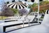 Loungers with Umbrellas