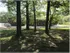 Opened grassy area with mature trees