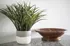 Elegant countertop display featuring a vibrant green potted plant and a stylish wooden bowl, adding a fresh touch to any interior space.