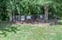 Charming woodland Bark Park with secure fencing, perfect for pet-friendly activities amidst lush greenery.