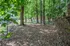 Tranquil outdoor space with lush green trees and a fenced area, perfect for relaxation and enjoying nature.