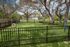Dog Park