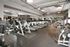 Modern fitness center showcasing a row of state-of-the-art treadmills and gym equipment, ideal for an invigorating workout experience.