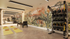 Luxurious home gym with vibrant jungle mural, yoga mats, and diverse fitness equipment.