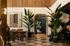Chic interior space with lush green plants, elegant lighting, and stylish wall art creating a modern oasis.