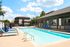 Dog-Friendly Apartments in North Austin, TX - Lotus Village Apartments - An Outdoor Swimming Pool With Blue Lounge Chairs, Poolside Deck, And Clubhouse Building.
