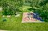 Playground Aerial