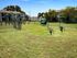 Ridgeview Dog Park
