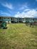 Ridgeview Dog Park