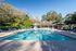 Inviting outdoor pool area surrounded by lounge chairs and lush greenery under a clear blue sky.
