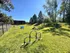 Vibrant outdoor dog park featuring agility equipment, lush green grass, and a backdrop of trees, perfect for pet-friendly living.