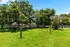Sunny and spacious dog park with lush green grass, trees, and exercise equipment, offering a perfect retreat for pets and owners.